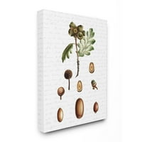 Ступел индустрии семена от дърво ядки Есен Есен сезонен дизайн платно стена изкуство от букви и облицовани