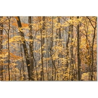 Търговска марка изобразително изкуство есенно дърво 2 платно изкуство от Джейсън Шафър