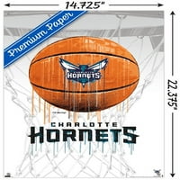 Шарлот Хорнетс-капково Баскетбол стена плакат с пушките, 14.725 22.375