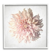 Ступел индустрии абстрактни Далия цвете цъфти розови слънчеви венчелистчета Живопис бяла рамка изкуство печат стена изкуство, дизайн от Микеле Норман