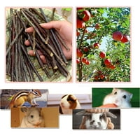 [Gazdag] 200g ябълкови пръчици малки животни моларни дървени лечения играчки за зайци чинчила